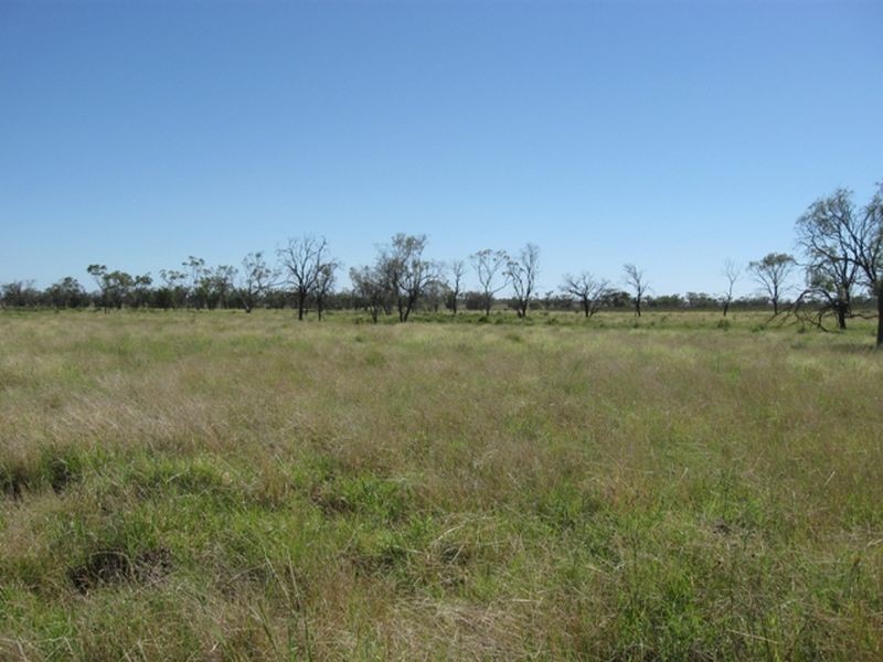 Lot 17 ‘Swerdna Downs’, Surat QLD 4417
