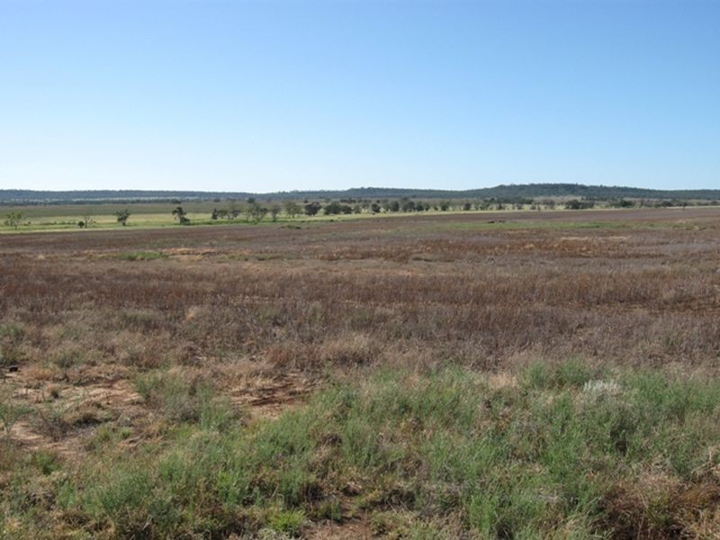 Lot 17 ‘Swerdna Downs’, Surat QLD 4417