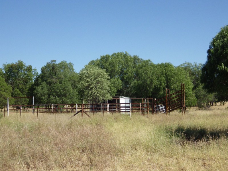 382 Hartley Lane, Roma QLD 4455