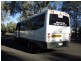Route P992 Bulala Bus Run, Roma QLD 4455