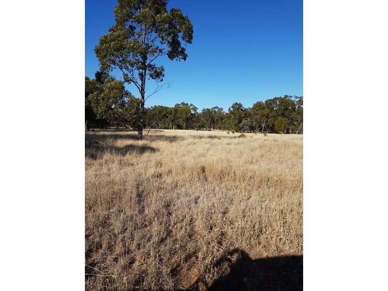 Lot 50 Grafton Terrace Road, Roma QLD 4455