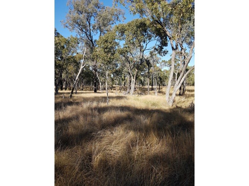 Lot 50 Grafton Terrace Road, Roma QLD 4455