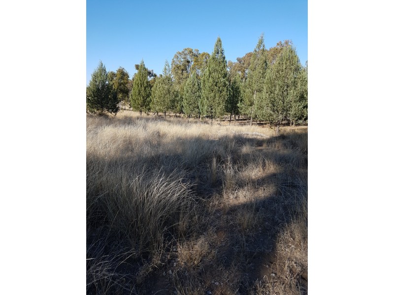 Lot 50 Grafton Terrace Road, Roma QLD 4455