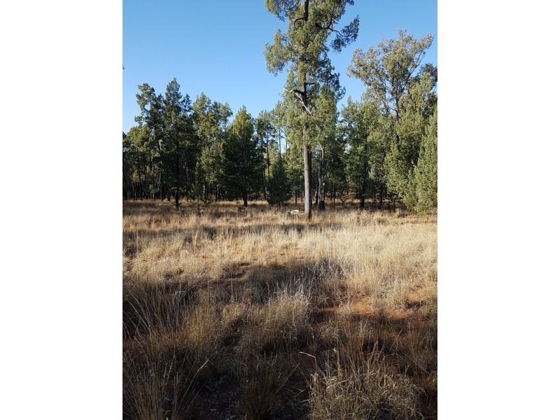 Lot 50 Grafton Terrace Road, Roma QLD 4455