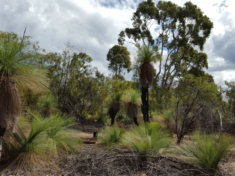 Lot 50 Grafton Terrace Road, Roma QLD 4455