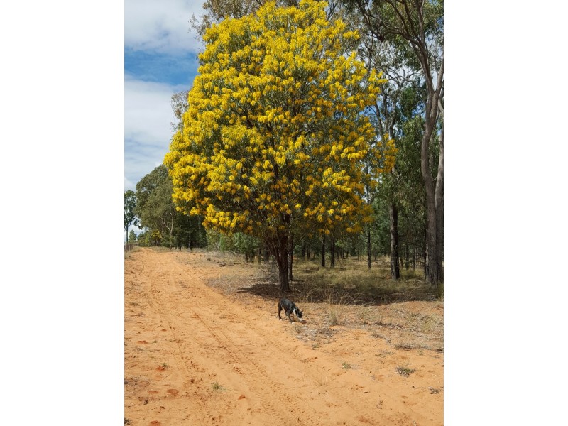 Lot 50 Grafton Terrace Road, Roma QLD 4455
