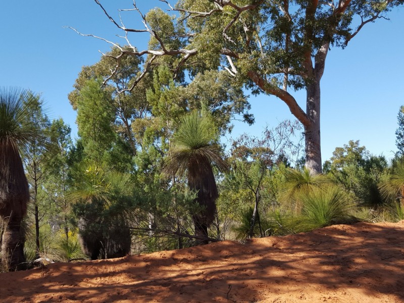 Lot 50 Grafton Terrace Road, Roma QLD 4455