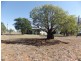 80 Leabrae Road, Wallumbilla QLD 4428