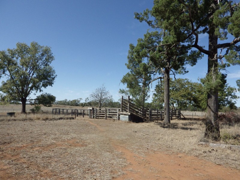 80 Leabrae Road, Wallumbilla QLD 4428