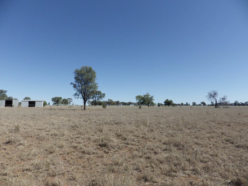 80 Leabrae Road, Wallumbilla QLD 4428