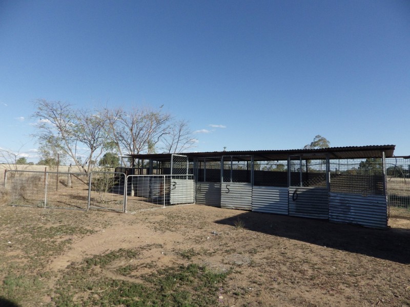 21-39 Andersons Road, Roma QLD 4455