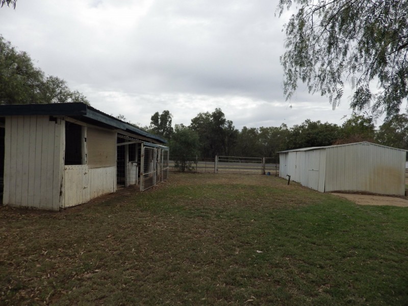 15 Burrowes Street, Surat QLD 4417