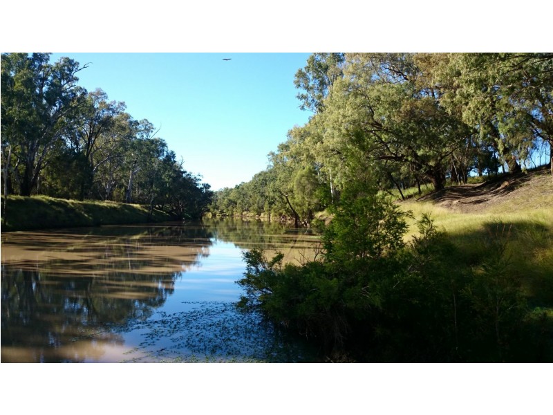 15 Burrowes Street, Surat QLD 4417