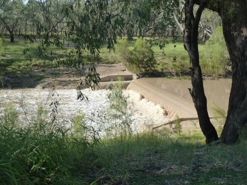 15 Burrowes Street, Surat QLD 4417