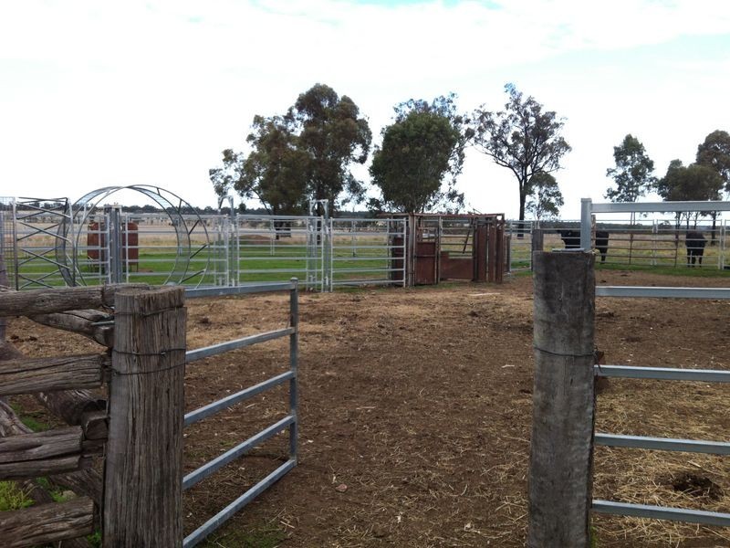 824 Crossroads Road, Yuleba QLD 4427