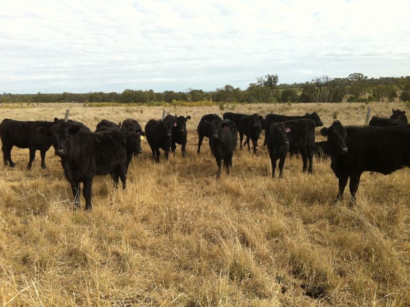 824 Crossroads Road, Yuleba QLD 4427