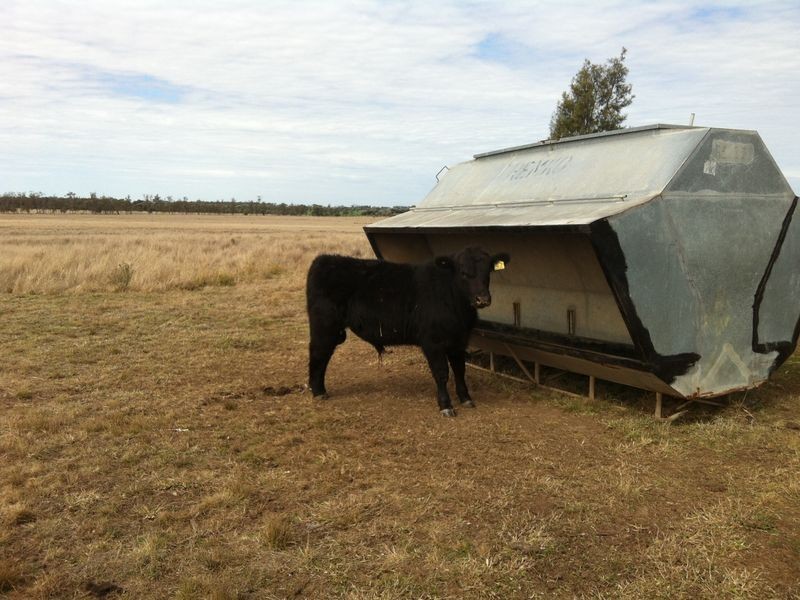 824 Crossroads Road, Yuleba QLD 4427