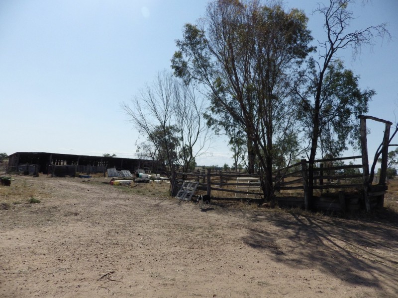 236 Bassett Lane, Roma QLD 4455