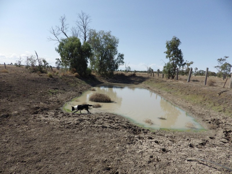 236 Bassett Lane, Roma QLD 4455