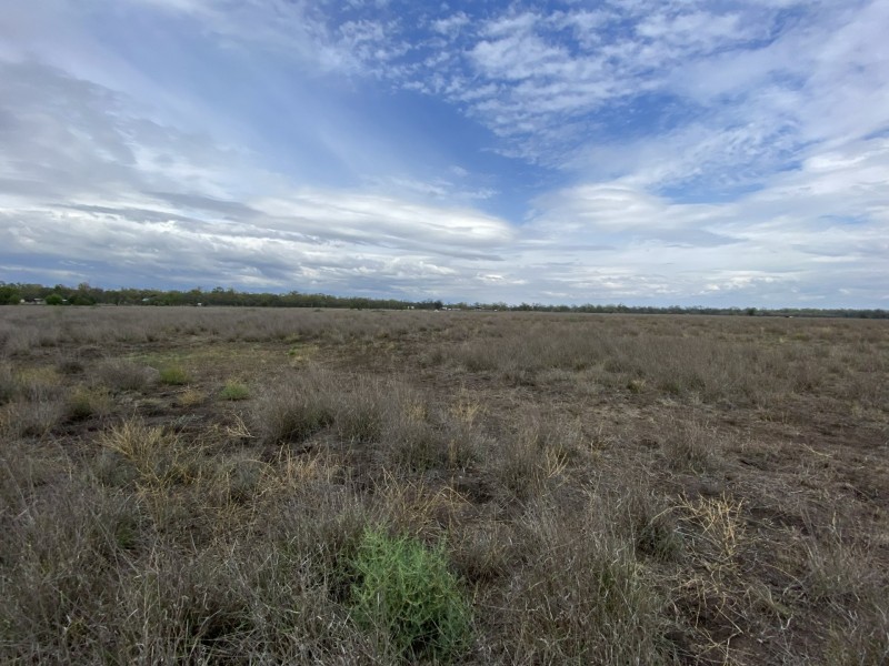 Lot 8 Clayton Road, Roma QLD 4455