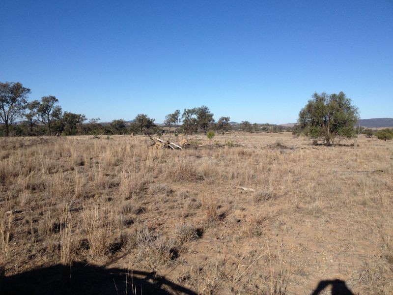 899 Roma/Taroom Road, Roma QLD 4455