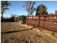 899 Roma/Taroom Road, Roma QLD 4455