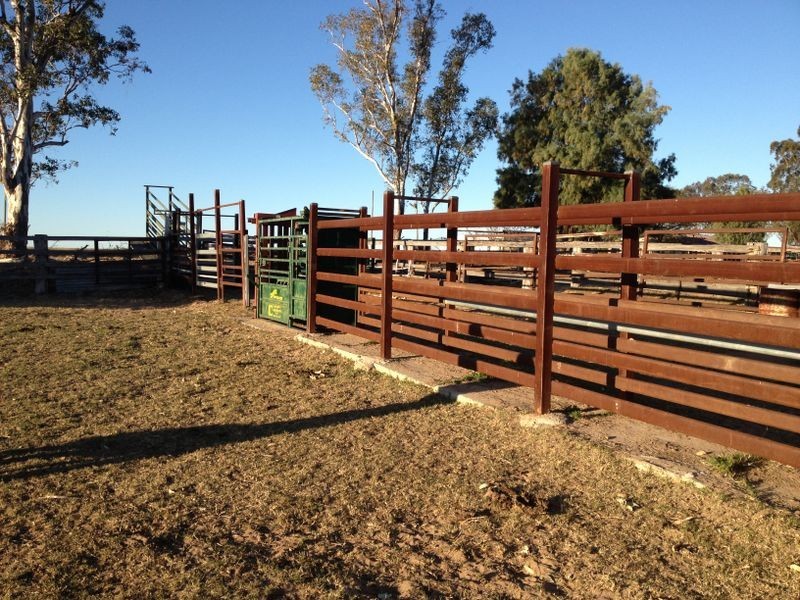 899 Roma/Taroom Road, Roma QLD 4455