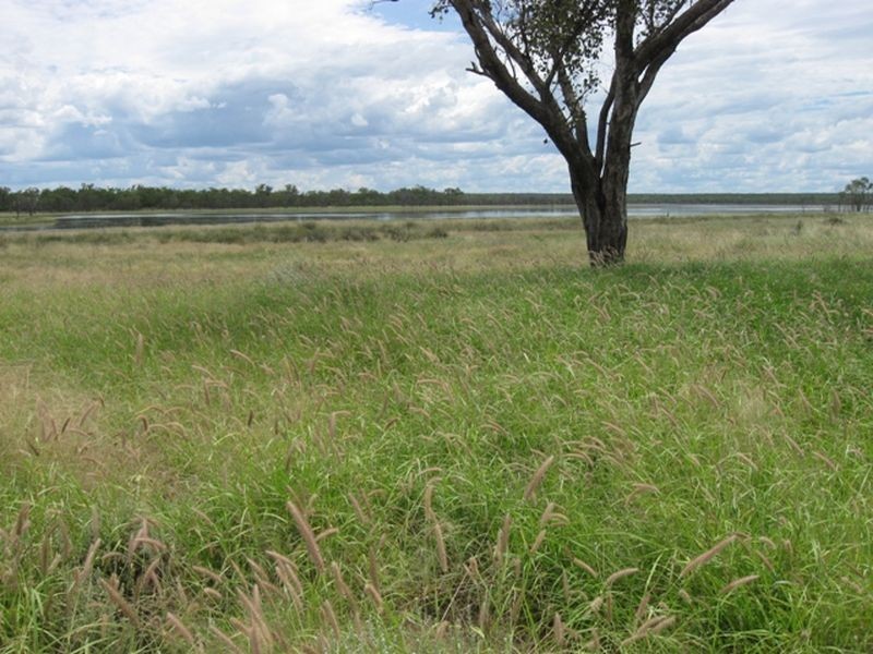 L1 Warrego Highway, Morven QLD 4468