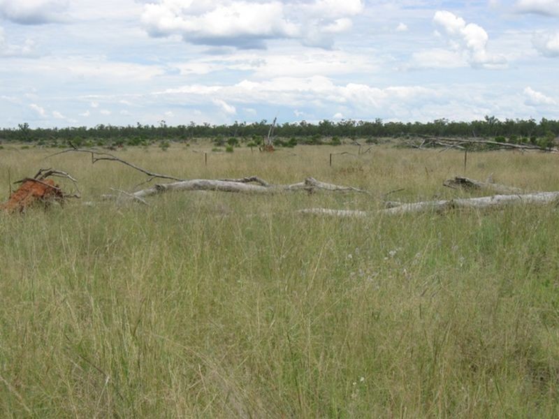 L1 Warrego Highway, Morven QLD 4468