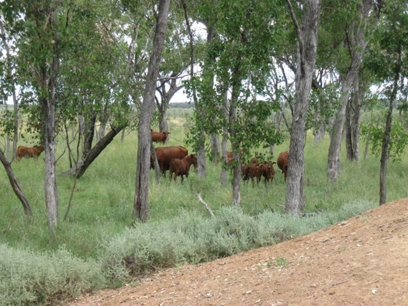 L1 Warrego Highway, Morven QLD 4468