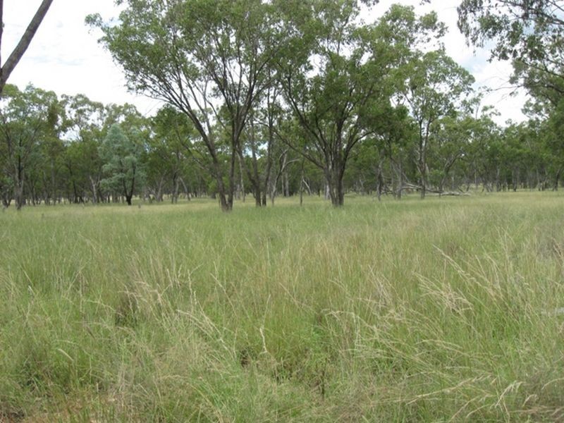 L1 Warrego Highway, Morven QLD 4468