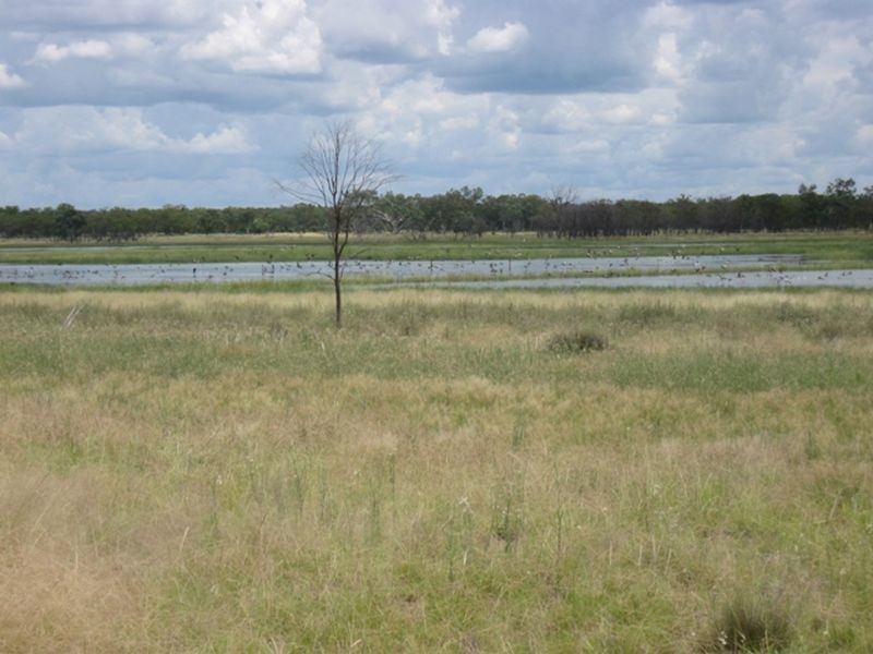 L1 Warrego Highway, Morven QLD 4468