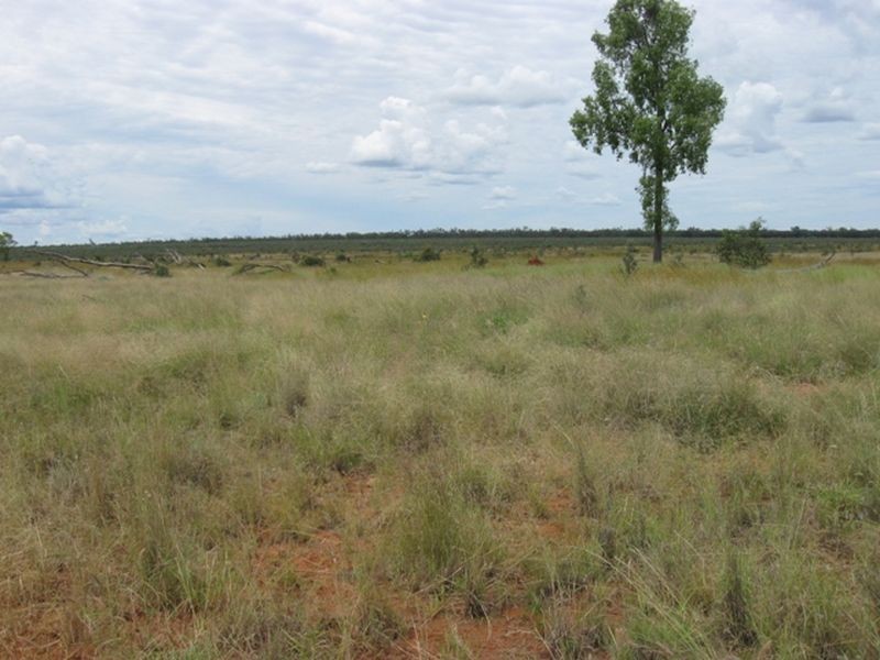 L1 Warrego Highway, Morven QLD 4468