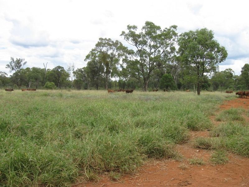 L1 Warrego Highway, Morven QLD 4468