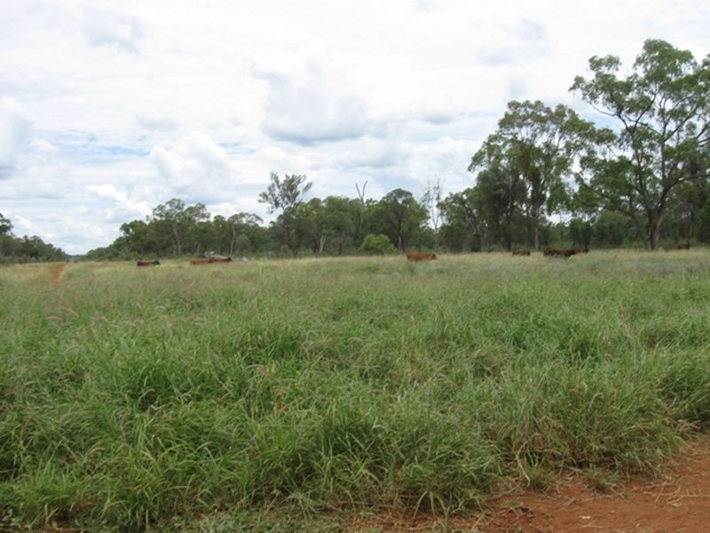 L1 Warrego Highway, Morven QLD 4468