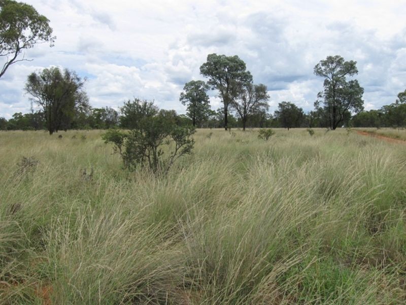 L1 Warrego Highway, Morven QLD 4468