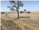 ‘South Pic Massey Lane, Muckadilla QLD 4461