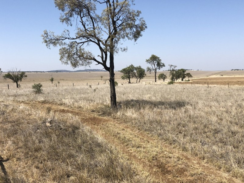 ‘South Pic Massey Lane, Muckadilla QLD 4461