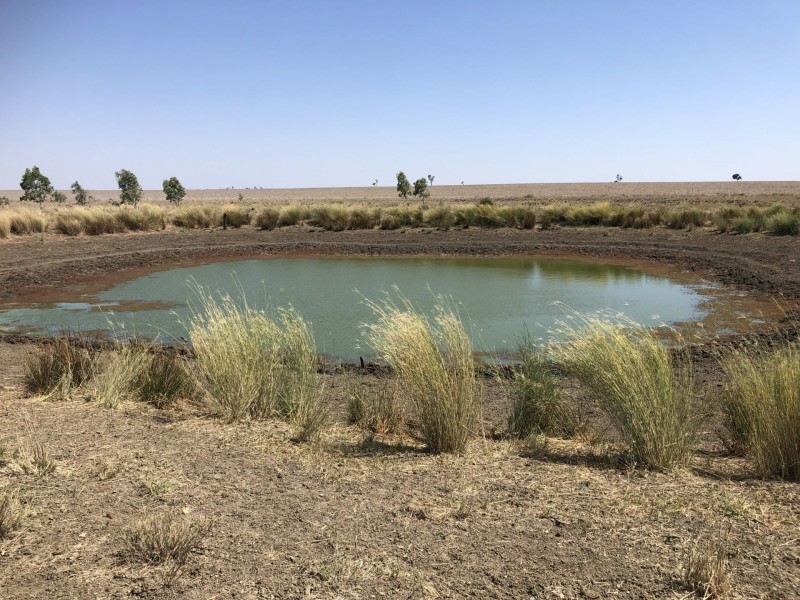 ‘South Pic Massey Lane, Muckadilla QLD 4461