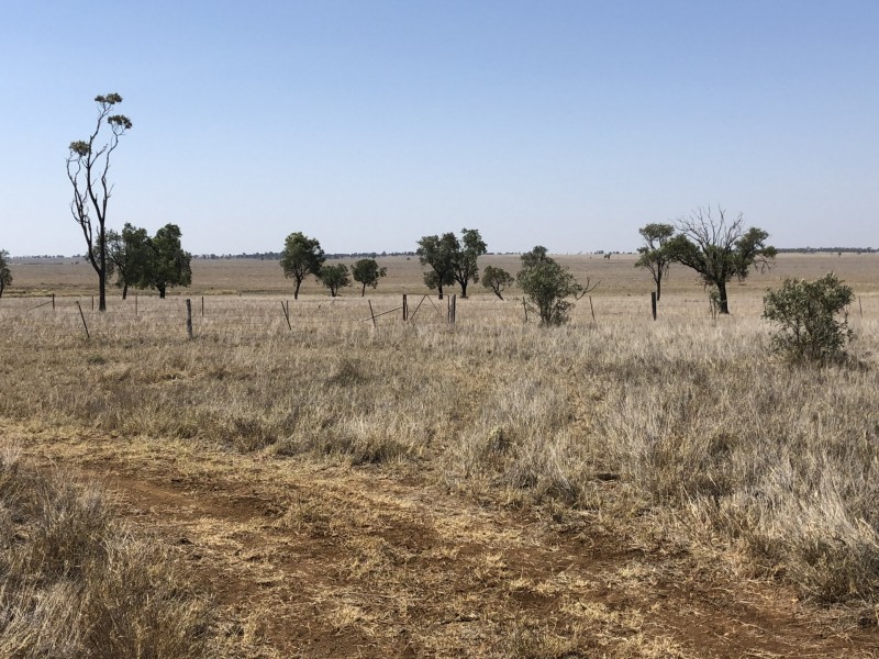 ‘South Pic Massey Lane, Muckadilla QLD 4461