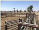 ‘South Pic Massey Lane, Muckadilla QLD 4461