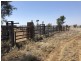 ‘South Pic Massey Lane, Muckadilla QLD 4461