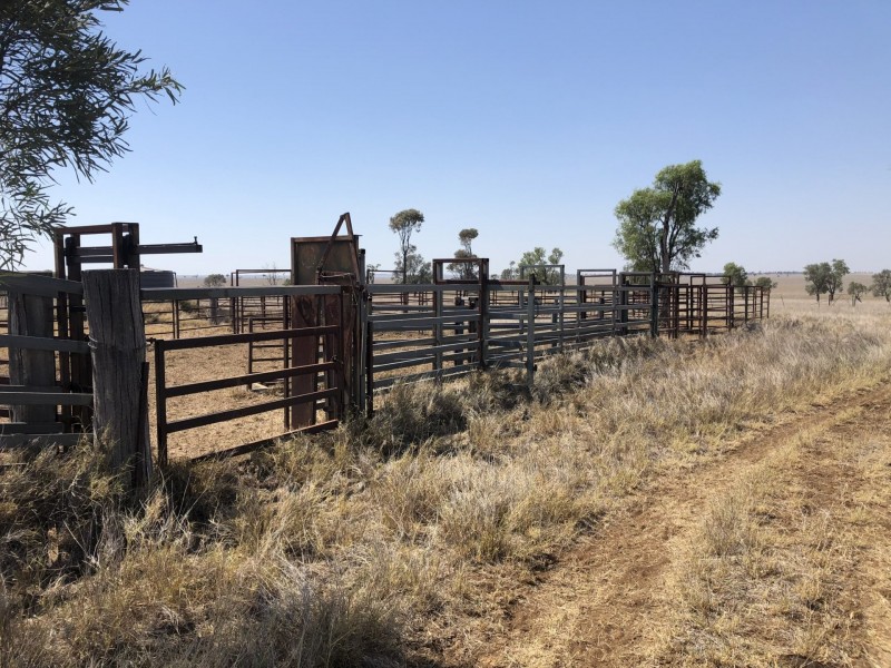 ‘South Pic Massey Lane, Muckadilla QLD 4461