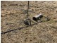 ‘South Pic Massey Lane, Muckadilla QLD 4461