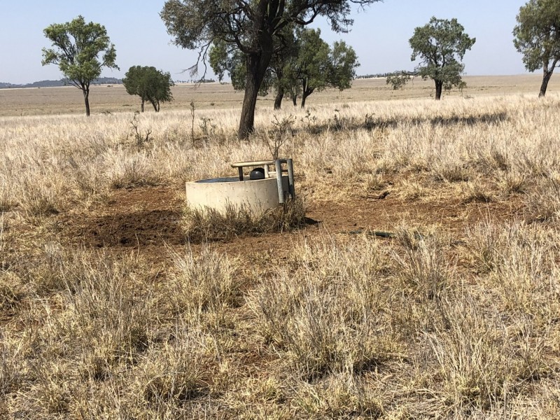 ‘South Pic Massey Lane, Muckadilla QLD 4461