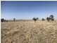 ‘South Pic Massey Lane, Muckadilla QLD 4461