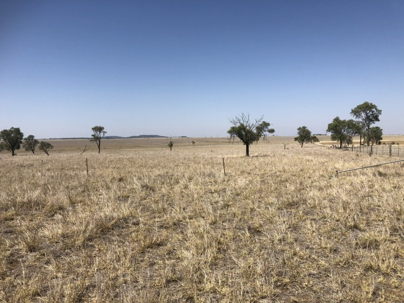 ‘South Pic Massey Lane, Muckadilla QLD 4461