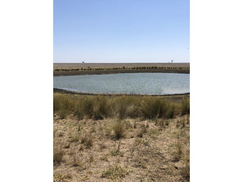 ‘South Pic Massey Lane, Muckadilla QLD 4461