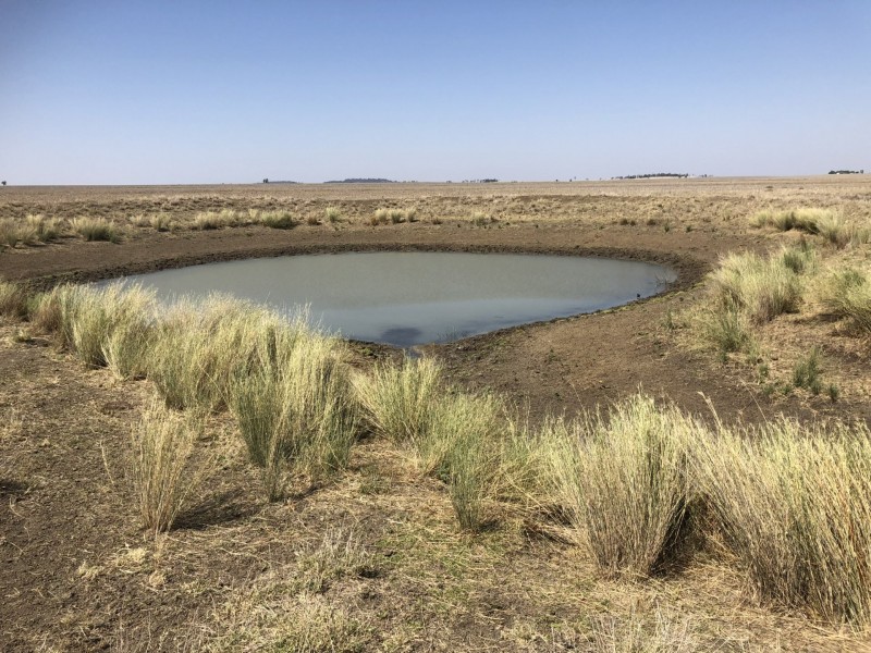 ‘South Pic Massey Lane, Muckadilla QLD 4461