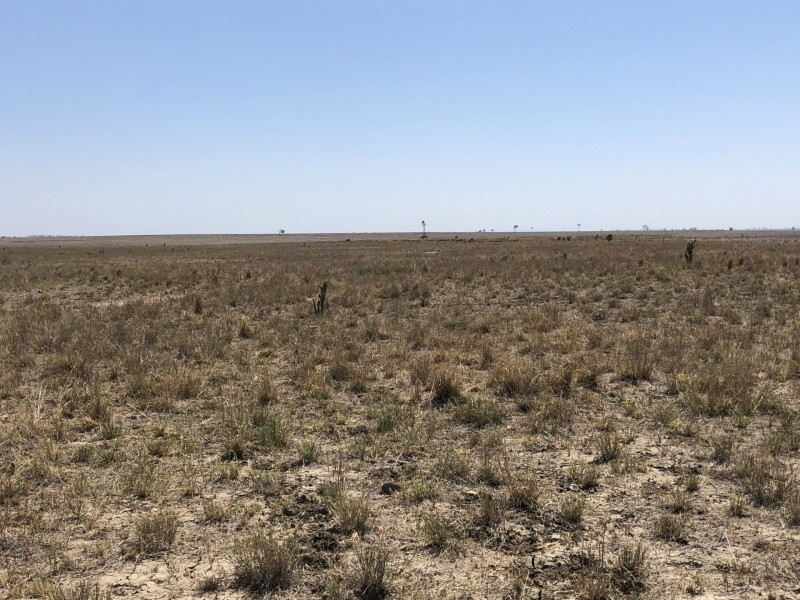 ‘South Pic Massey Lane, Muckadilla QLD 4461